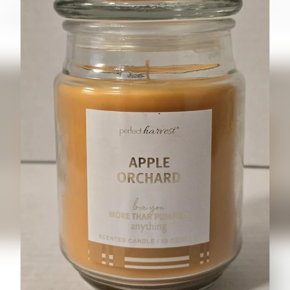 Apple Orchard Scented 18oz Candle New Love You More Than Pumpkin Anything - Picture 2 of 5